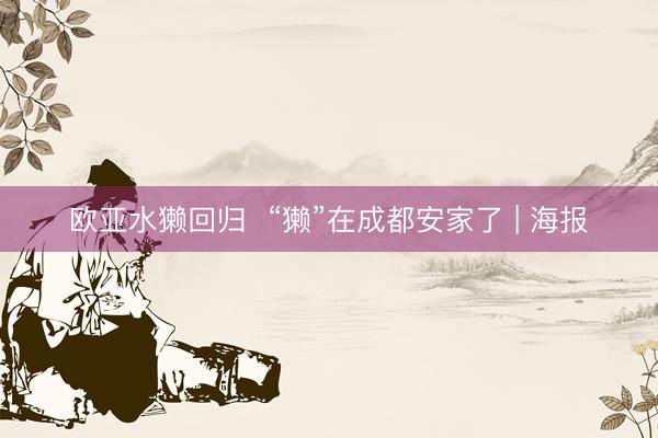 欧亚水獭回归  “獭”在成都安家了 | 海报