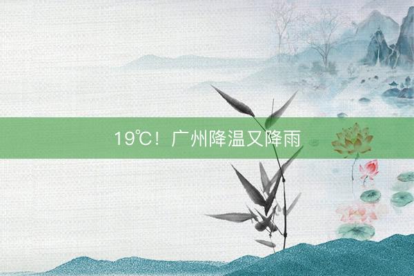 19℃！广州降温又降雨