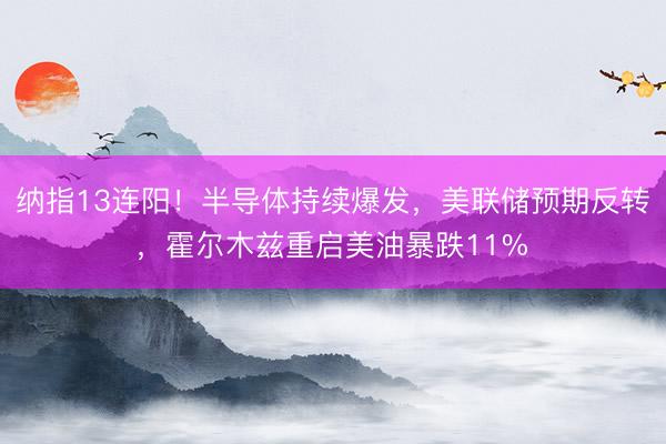 纳指13连阳！半导体持续爆发，美联储预期反转，霍尔木兹重启美油暴跌11% 