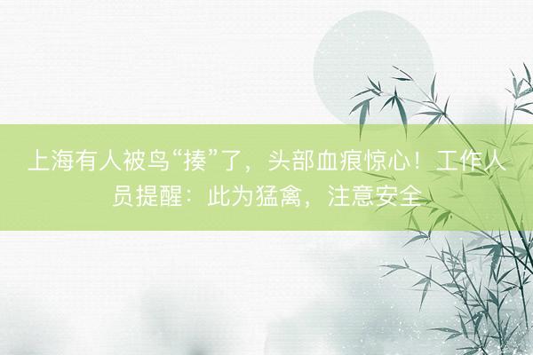 上海有人被鸟“揍”了，头部血痕惊心！工作人员提醒：此为猛禽，注意安全