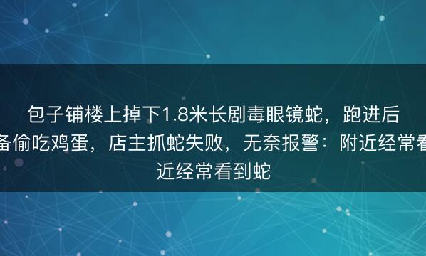 包子铺楼上掉下1.8米长剧毒眼镜蛇，跑进后厨准备偷吃鸡蛋，店主抓蛇失败，无奈报警：附近经常看到蛇