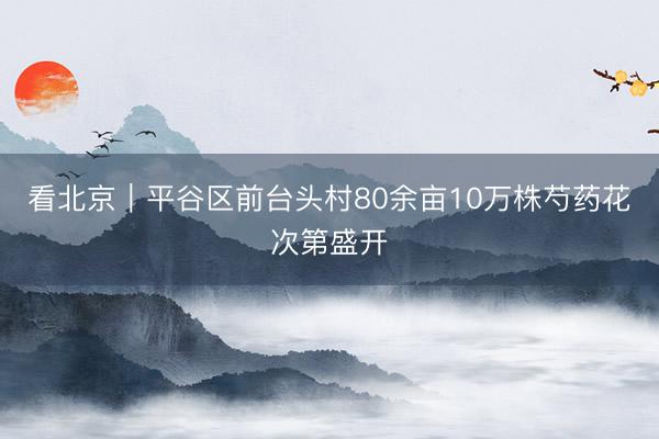 看北京｜平谷区前台头村80余亩10万株芍药花次第盛开