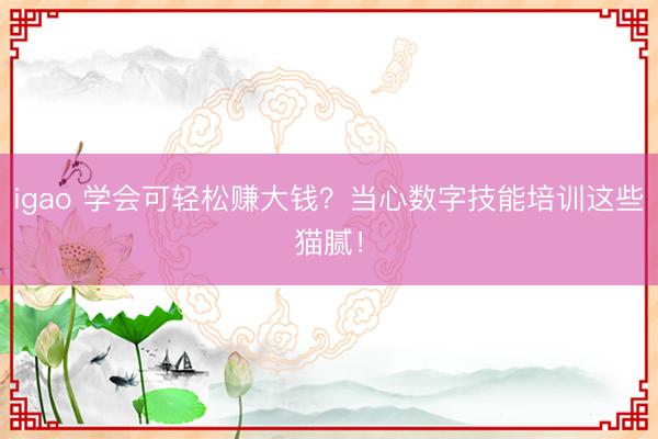 igao 学会可轻松赚大钱？当心数字技能培训这些猫腻！