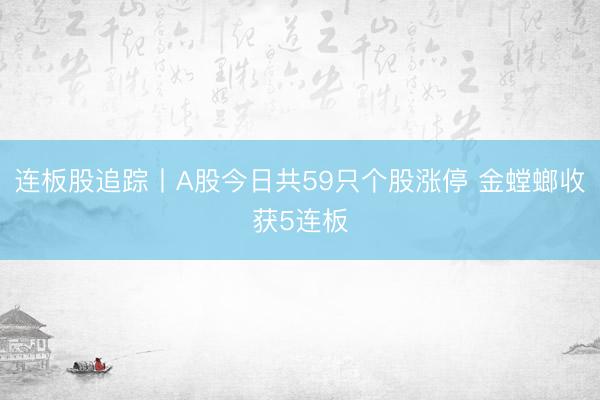 连板股追踪丨A股今日共59只个股涨停 金螳螂收获5连板