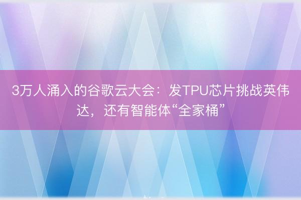 3万人涌入的谷歌云大会：发TPU芯片挑战英伟达，还有智能体“全家桶”