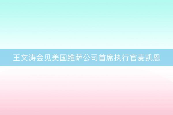 王文涛会见美国维萨公司首席执行官麦凯恩