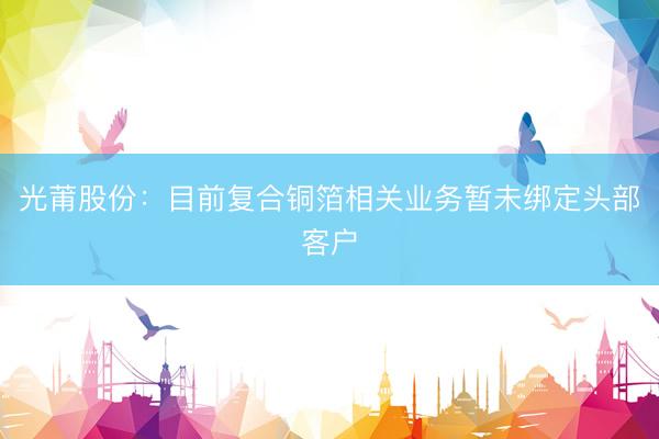 光莆股份：目前复合铜箔相关业务暂未绑定头部客户