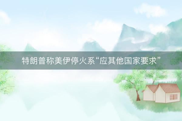 特朗普称美伊停火系“应其他国家要求”