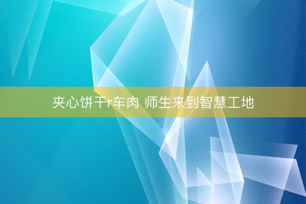 夹心饼干r车肉 师生来到智慧工地
