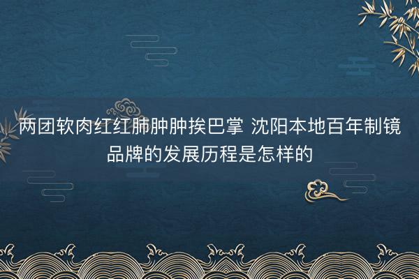 两团软肉红红肺肿肿挨巴掌 沈阳本地百年制镜品牌的发展历程是怎样的