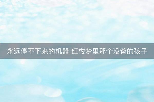 永远停不下来的机器 红楼梦里那个没爸的孩子