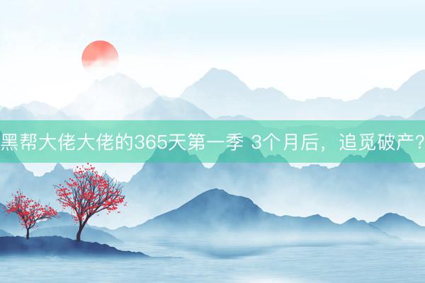 黑帮大佬大佬的365天第一季 3个月后，追觅破产？