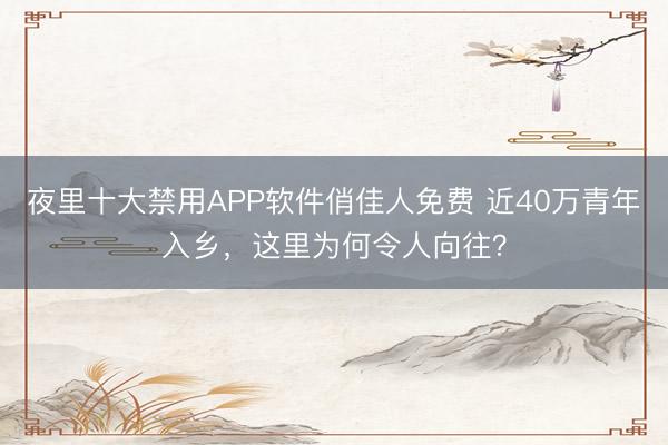 夜里十大禁用APP软件俏佳人免费 近40万青年入乡，这里为何令人向往？