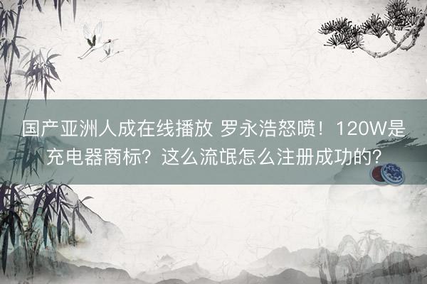 国产亚洲人成在线播放 罗永浩怒喷！120W是充电器商标？这么流氓怎么注册成功的？
