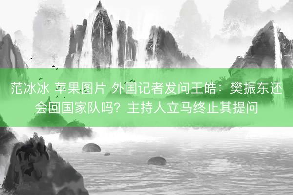 范冰冰 苹果图片 外国记者发问王皓：樊振东还会回国家队吗？主持人立马终止其提问