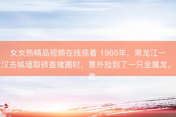 女女热精品视频在线观看 1965年，黑龙江一老汉去城墙取砖盖猪圈时，意外捡到了一只金属龙。老
