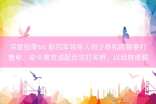 深度按摩txt 新四军领导人刘少奇和陈毅要打曹甸,命令黄克诚配合攻打车桥,以给韩德勤