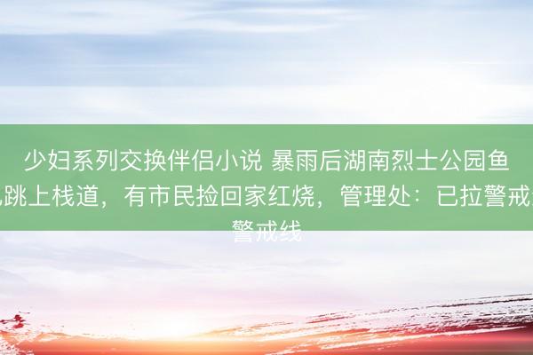 少妇系列交换伴侣小说 暴雨后湖南烈士公园鱼儿跳上栈道，有市民捡回家红烧，管理处：已拉警戒线