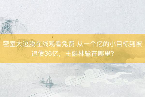 密室大逃脱在线观看免费 从一个亿的小目标到被追债36亿，王健林输在哪里？