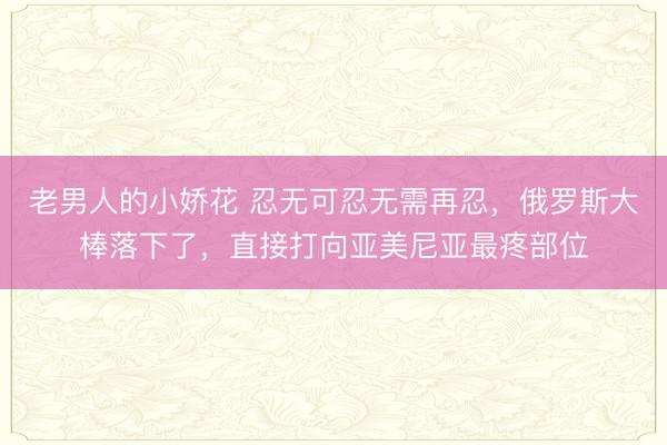 老男人的小娇花 忍无可忍无需再忍，俄罗斯大棒落下了，直接打向亚美尼亚最疼部位
