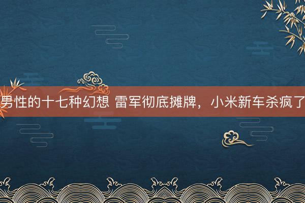 男性的十七种幻想 雷军彻底摊牌，小米新车杀疯了