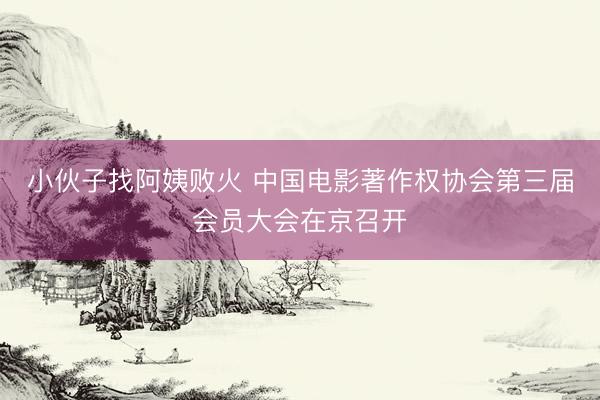 小伙子找阿姨败火 中国电影著作权协会第三届会员大会在京召开