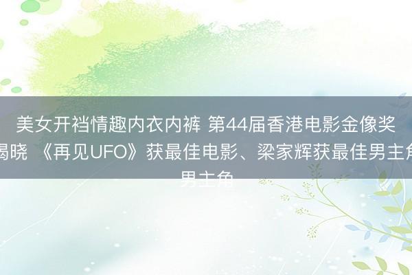 美女开裆情趣内衣内裤 第44届香港电影金像奖揭晓 《再见UFO》获最佳电影、梁家辉获最佳男主角
