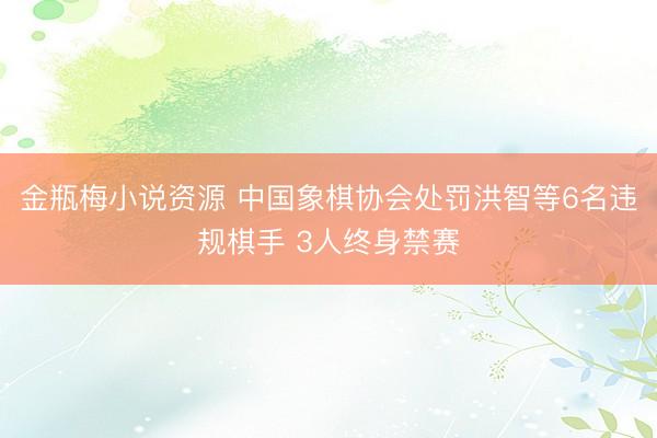金瓶梅小说资源 中国象棋协会处罚洪智等6名违规棋手 3人终身禁赛