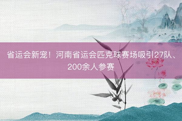 省运会新宠！河南省运会匹克球赛场吸引27队、200余人参赛