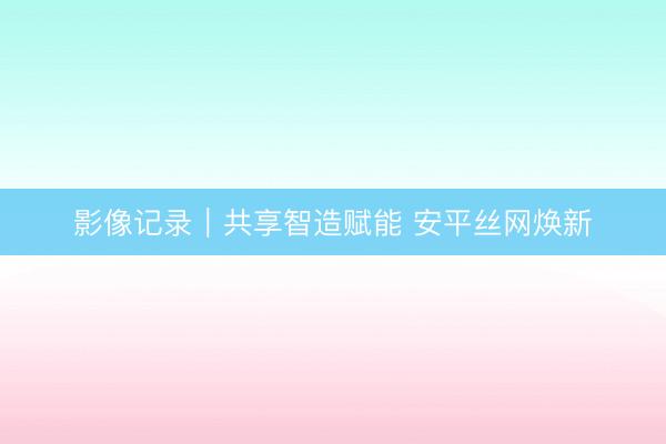 影像记录｜共享智造赋能 安平丝网焕新