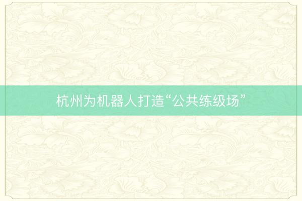 杭州为机器人打造“公共练级场”