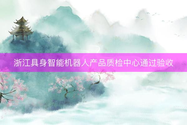 浙江具身智能机器人产品质检中心通过验收