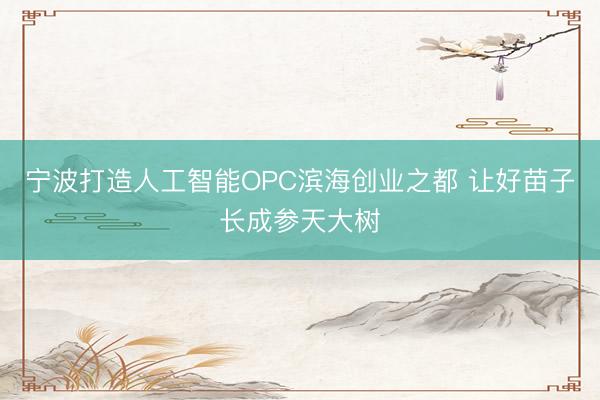宁波打造人工智能OPC滨海创业之都 让好苗子长成参天大树