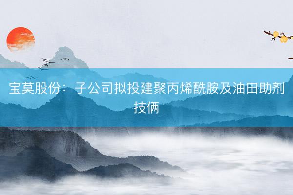 宝莫股份：子公司拟投建聚丙烯酰胺及油田助剂技俩