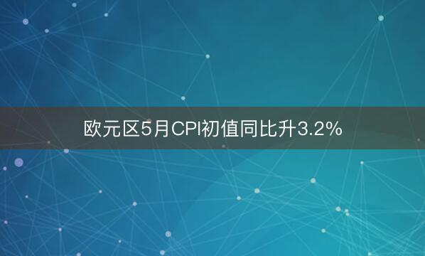 欧元区5月CPI初值同比升3.2%
