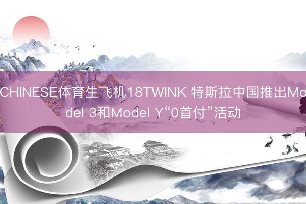 CHINESE体育生飞机18TWINK 特斯拉中国推出Model 3和Model Y“0首付”活动
