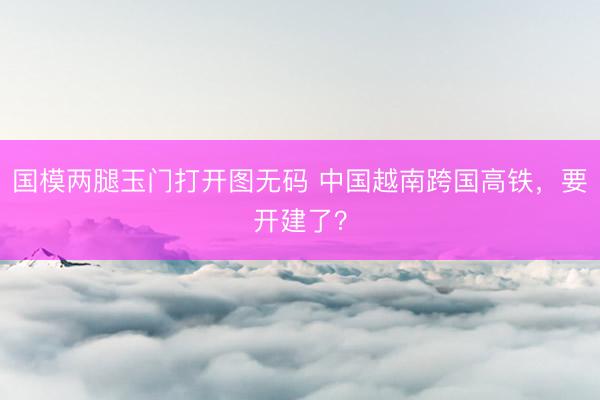 国模两腿玉门打开图无码 中国越南跨国高铁，要开建了？