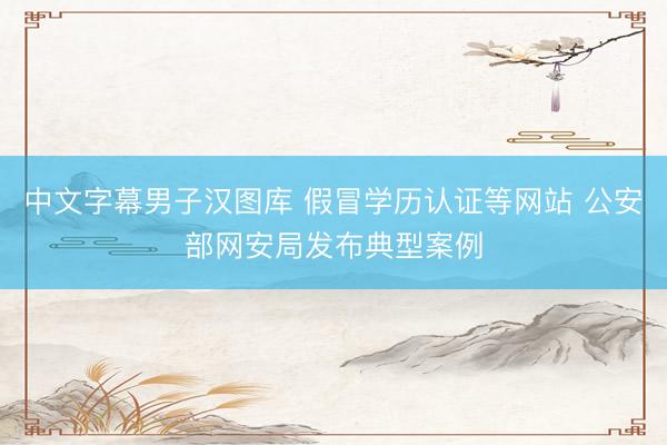 中文字幕男子汉图库 假冒学历认证等网站 公安部网安局发布典型案例