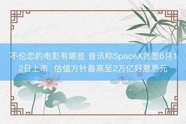 不伦恋的电影有哪些 音讯称SpaceX贪图6月12日上市  估值方针最高至2万亿好意思元