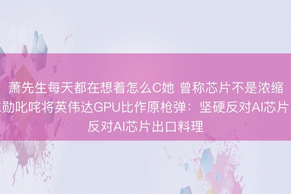 萧先生每天都在想着怎么C她 曾称芯片不是浓缩铀！黄仁勋叱咤将英伟达GPU比作原枪弹：坚硬反对AI芯片出口料理