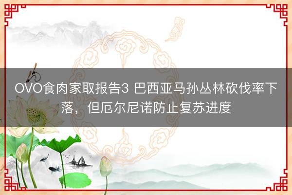 OVO食肉家取报告3 巴西亚马孙丛林砍伐率下落，但厄尔尼诺防止复苏进度