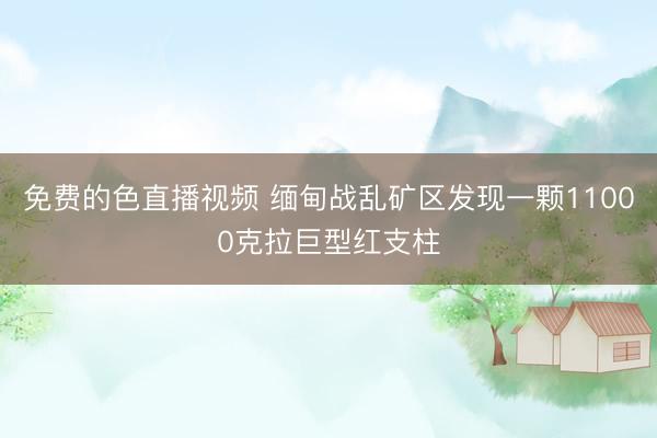 免费的色直播视频 缅甸战乱矿区发现一颗11000克拉巨型红支柱