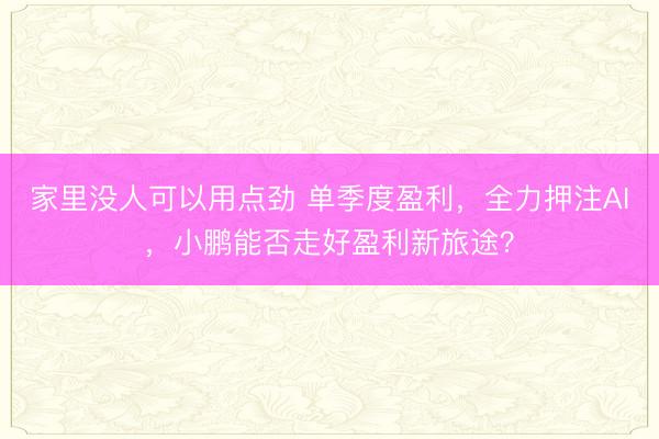 家里没人可以用点劲 单季度盈利，全力押注AI，小鹏能否走好盈利新旅途？