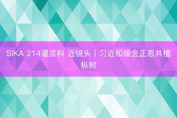 SIKA 214灌浆料 近镜头｜习近和缓金正恩共植枞树