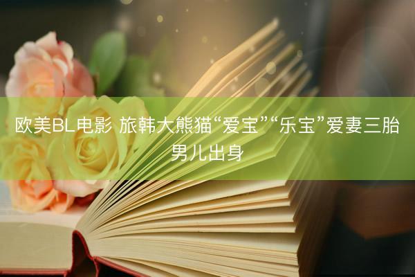 欧美BL电影 旅韩大熊猫“爱宝”“乐宝”爱妻三胎男儿出身