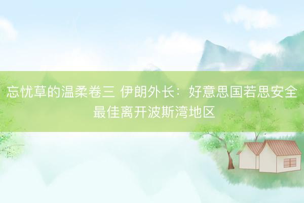 忘忧草的温柔卷三 伊朗外长：好意思国若思安全 最佳离开波斯湾地区
