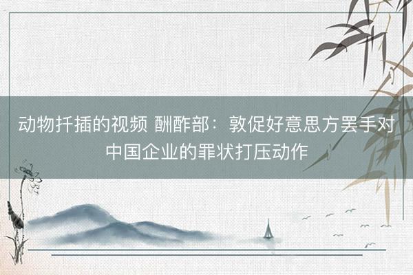 动物扦插的视频 酬酢部：敦促好意思方罢手对中国企业的罪状打压动作