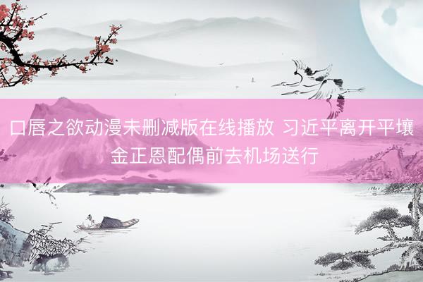 口唇之欲动漫未删减版在线播放 习近平离开平壤 金正恩配偶前去机场送行