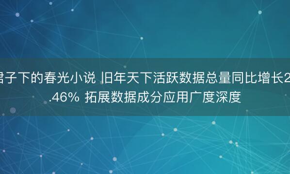 裙子下的春光小说 旧年天下活跃数据总量同比增长28.46% 拓展数据成分应用广度深度