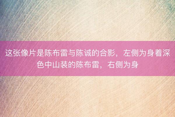这张像片是陈布雷与陈诚的合影，左侧为身着深色中山装的陈布雷，右侧为身
